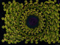 Green Mandala — original watercolour painting